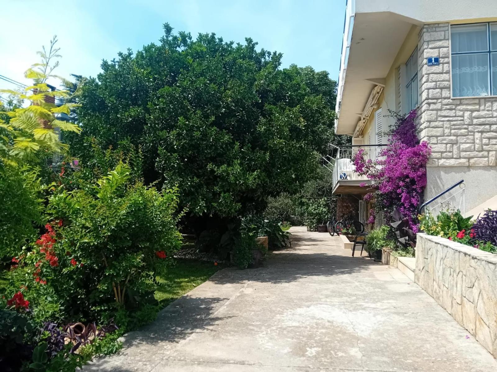 Apartments Angie 扎达尔 外观 照片